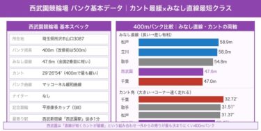 西武園競輪場の特徴・バンク攻略ガイド｜カント最緩×直線最短で番手が主役